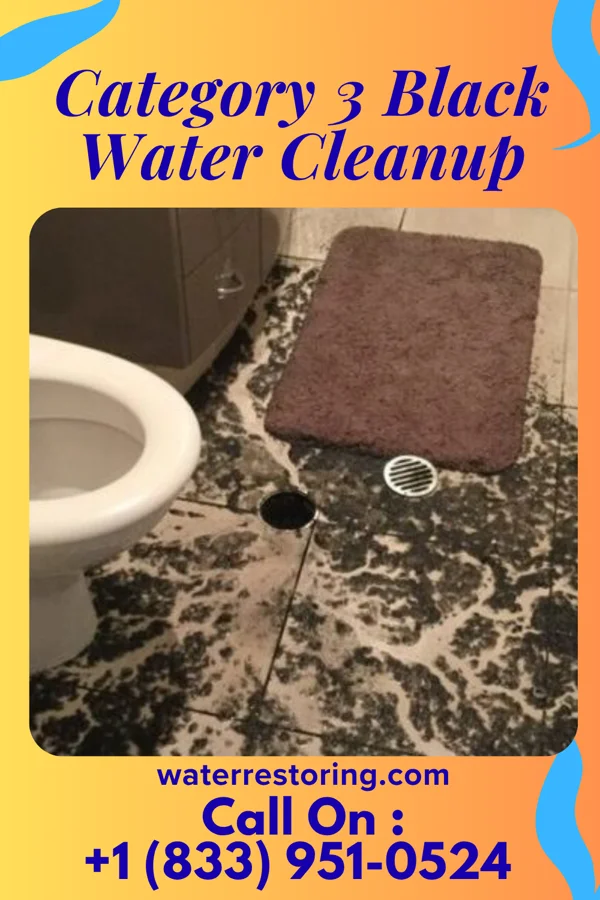 Category 3 Black Water Cleanup in Moweaqua, IL