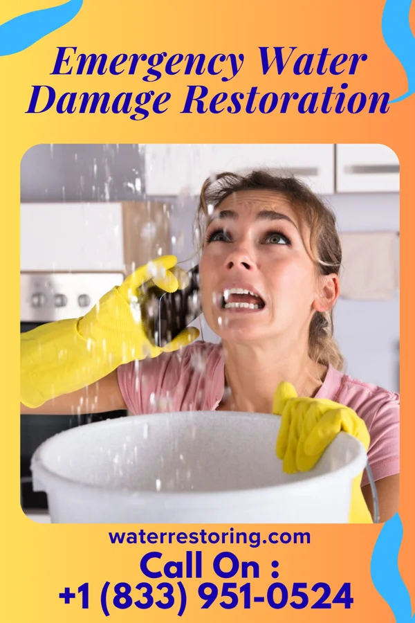 Emergency Water Damage Restoration in Moweaqua, IL