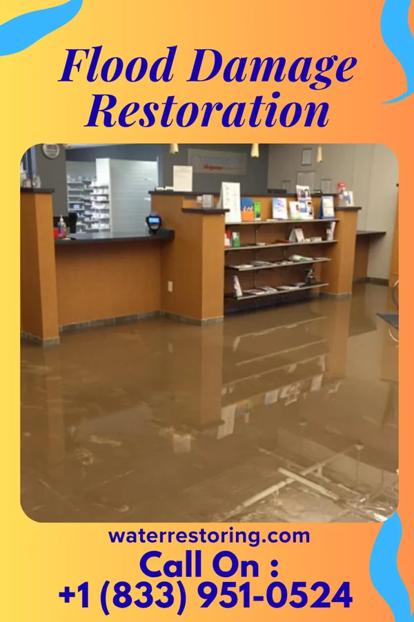 Flood Damage Restoration in Moweaqua, IL