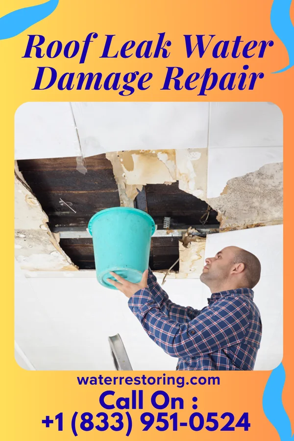 Roof Leak Water Damage Repair in Moweaqua, IL